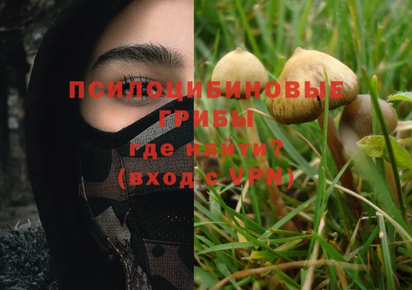 MESCALINE Инта