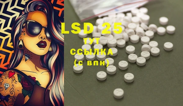 ПСИЛОЦИБИНОВЫЕ ГРИБЫ Заволжье