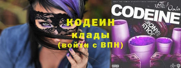соль ск Инсар