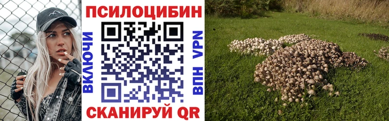 Галлюциногенные грибы GOLDEN TEACHER  OMG онион  Кирсанов 